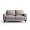 Canapé 2 places droit gris 160 x 85 x 85 cm en polyester